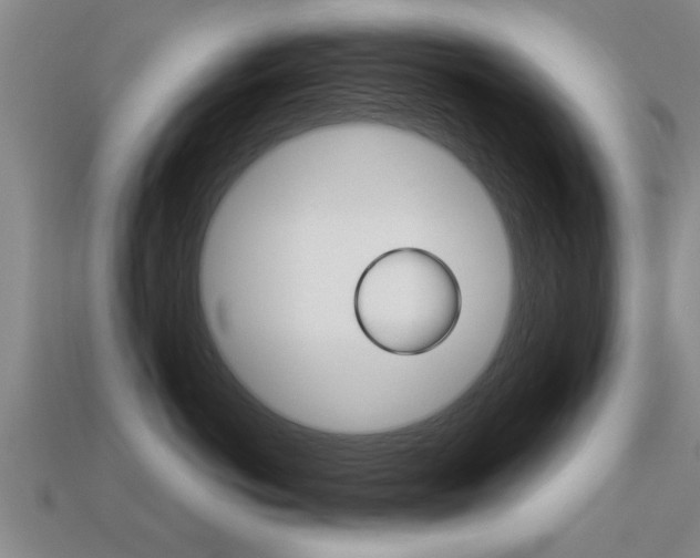 X0000113340766200909151005