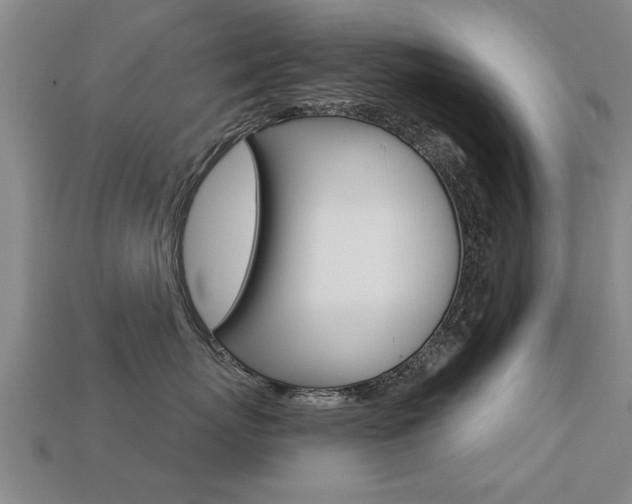 X0000113340767200909151005