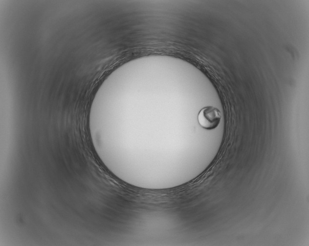 X0000113340768200909151005