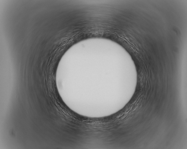 X0000113340769200909151005