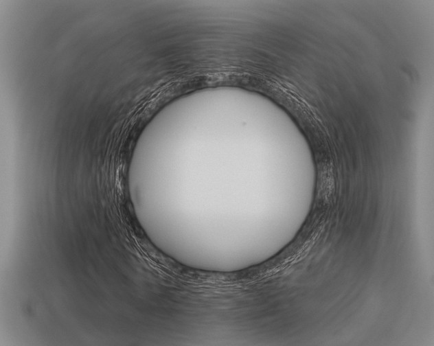 X0000113340770200909151005