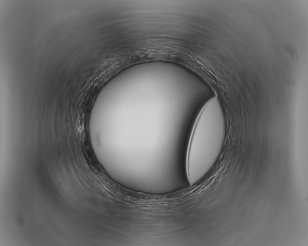 X0000113340771200909151005