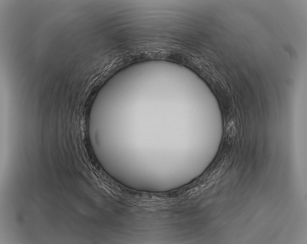 X0000113340772200909151005