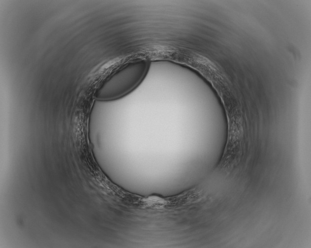 X0000113340773200909151005