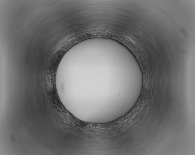 X0000113340774200909151005
