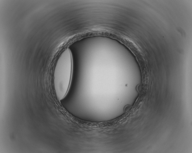 X0000113340776200909151005
