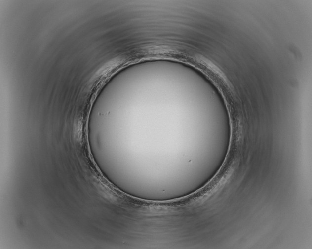 X0000113340777200909151005