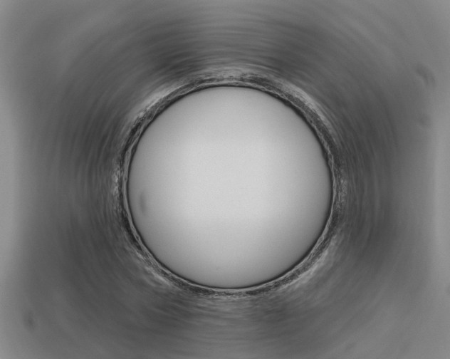 X0000113340778200909151005