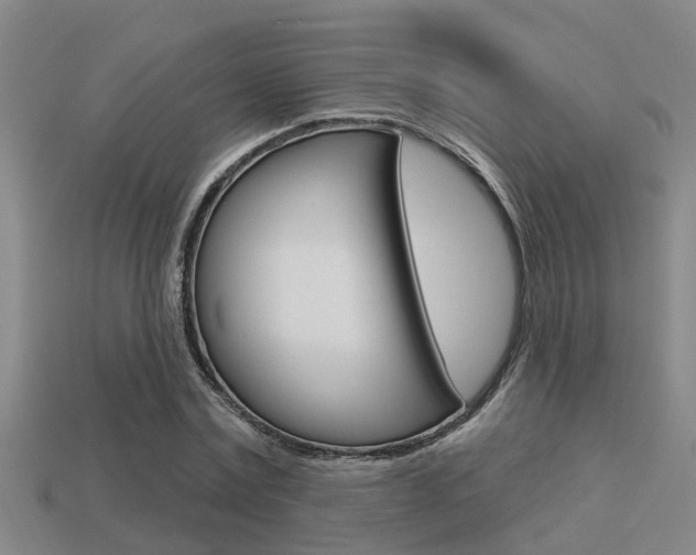 X0000113340779200909151005