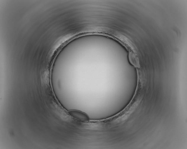 X0000113340781200909151005