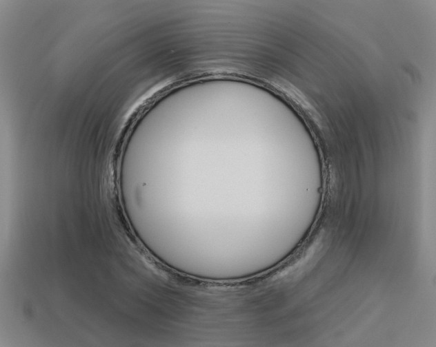 X0000113340782200909151005