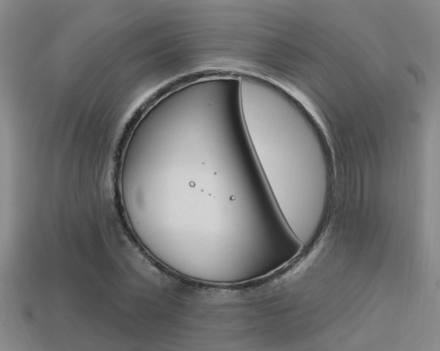 X0000113340783200909151005