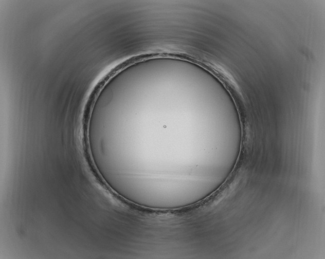 X0000113340784200909151005