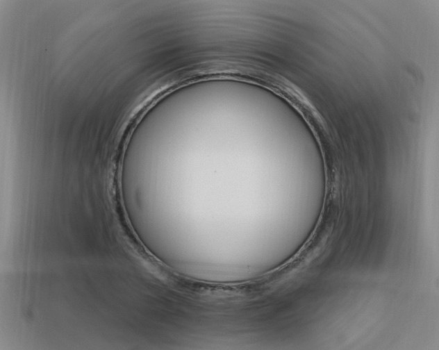 X0000113340786200909151005