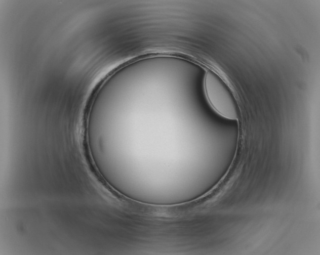 X0000113340787200909151005