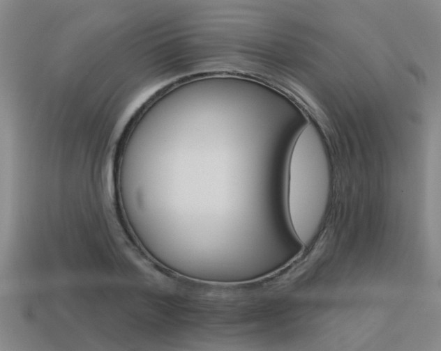 X0000113340788200909151005