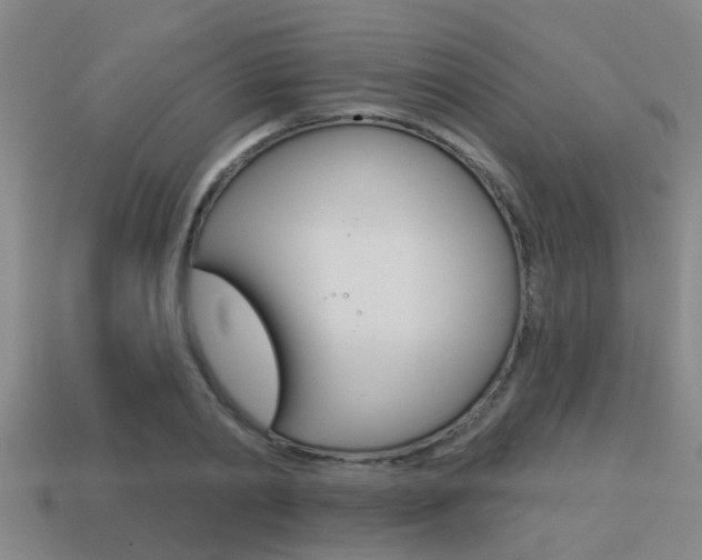 X0000113340790200909151005