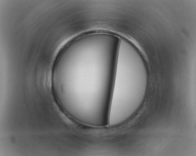 X0000113340791200909151005