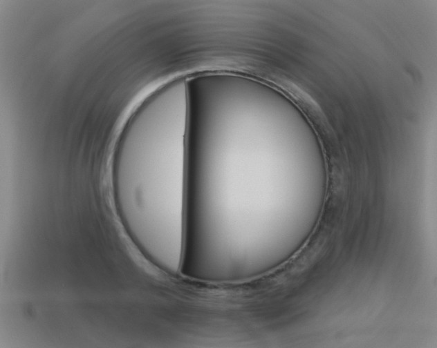 X0000113340792200909151005
