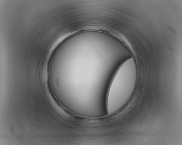 X0000113340795200909151005