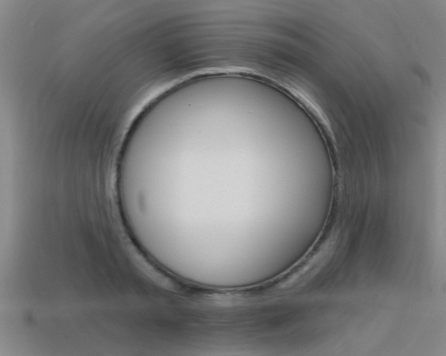 X0000113340797200909151005