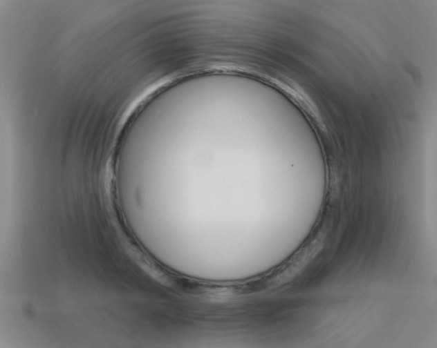 X0000113340798200909151004