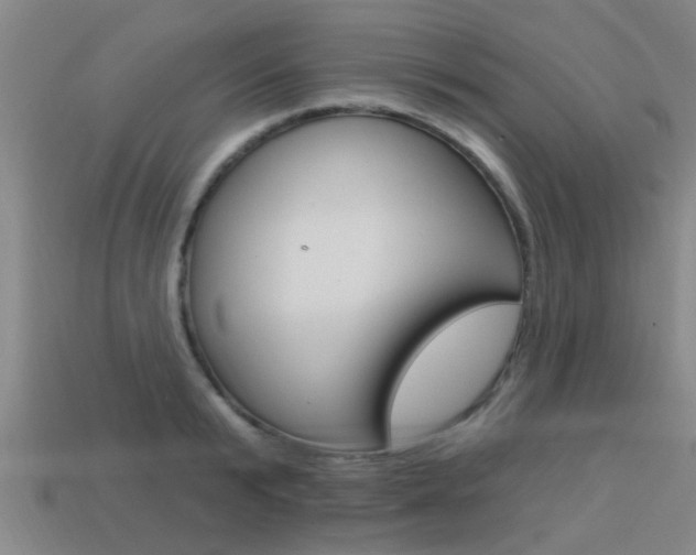 X0000113340799200909151004