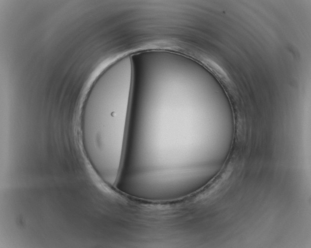 X0000113340800200909151004