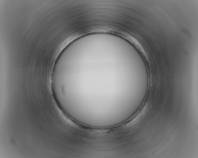 X0000113340802200909151004