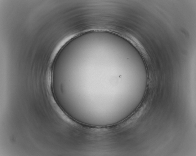 X0000113340804200909151004