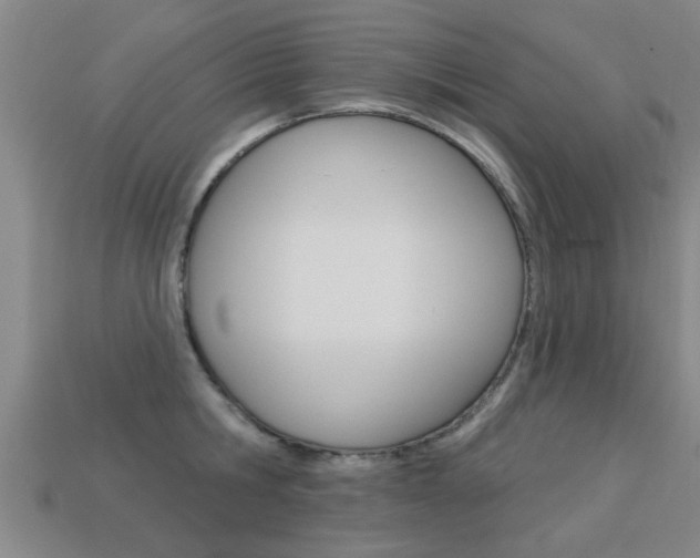 X0000113340806200909151004