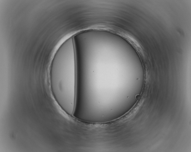 X0000113340808200909151004