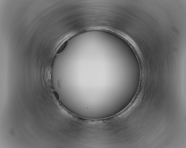 X0000113340809200909151004