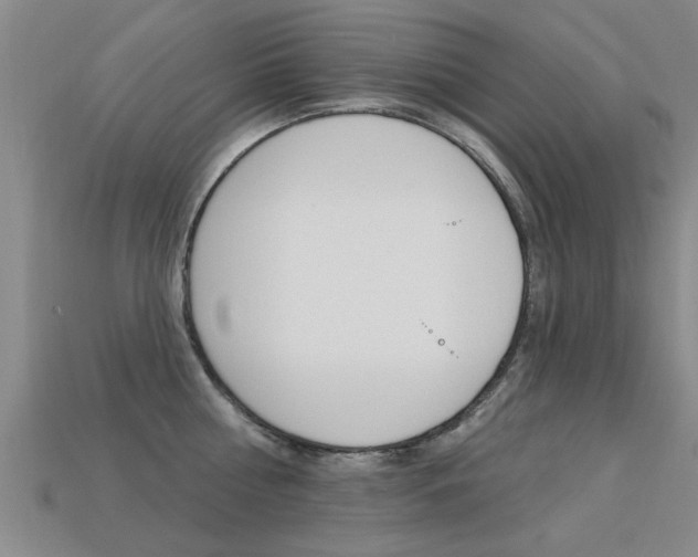 X0000113340810200909151004