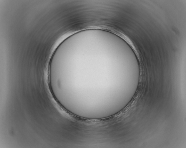 X0000113340811200909151004