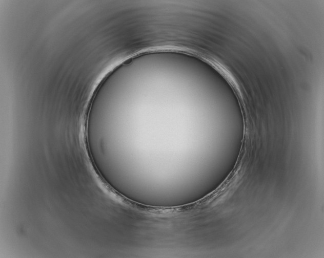 X0000113340813200909151004