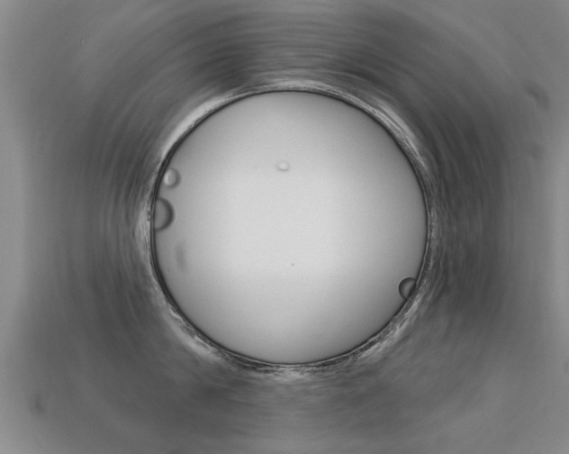 X0000113340814200909151004