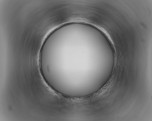 X0000113340815200909151004
