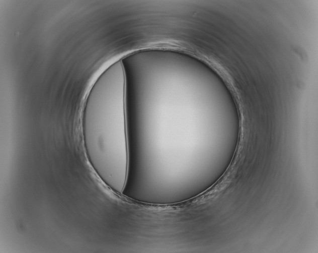 X0000113340816200909151004