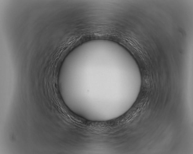 X0000113340817200909151003