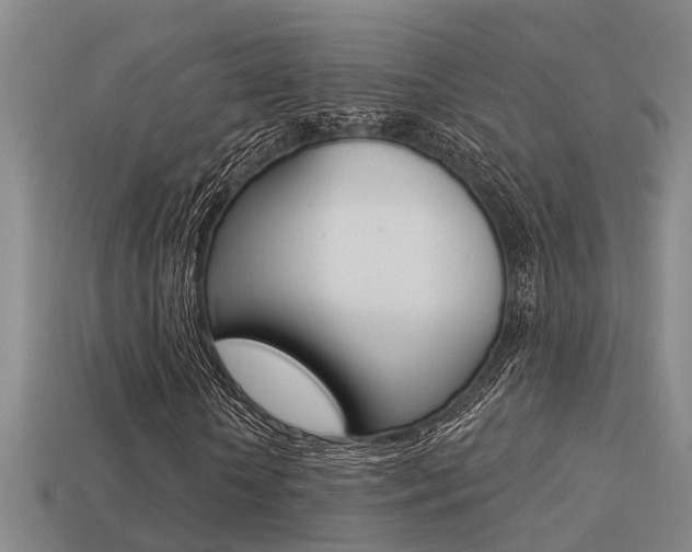 X0000113340818200909151003