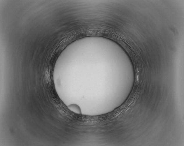 X0000113340819200909151003