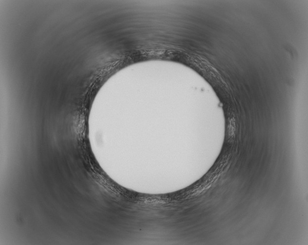 X0000113340820200909151003