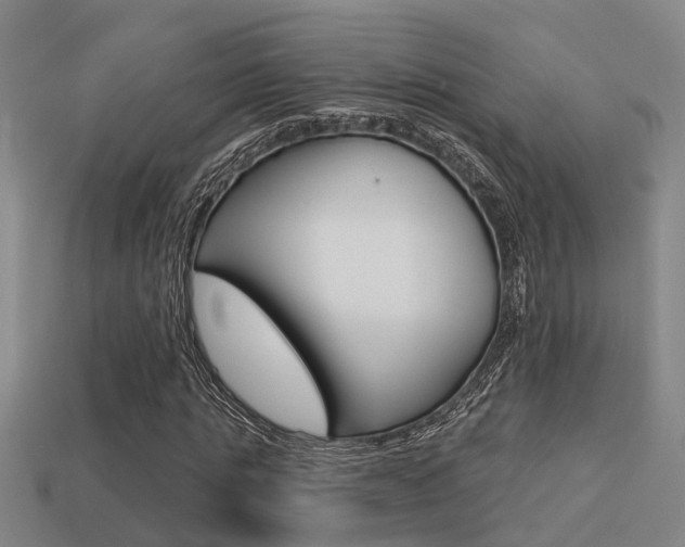 X0000113340821200909151003