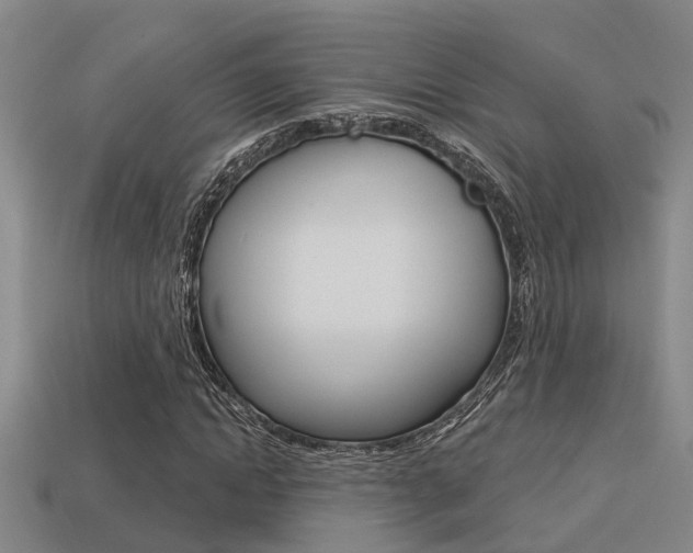 X0000113340822200909151003