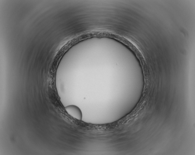 X0000113340823200909151003