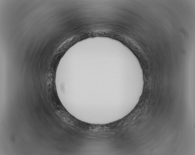 X0000113340824200909151003