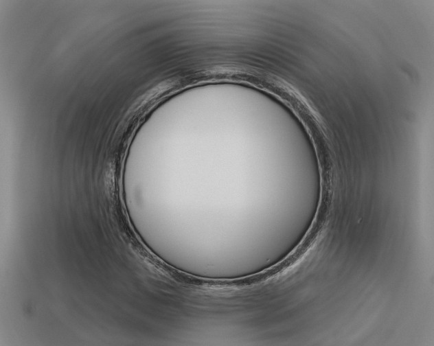 X0000113340825200909151003