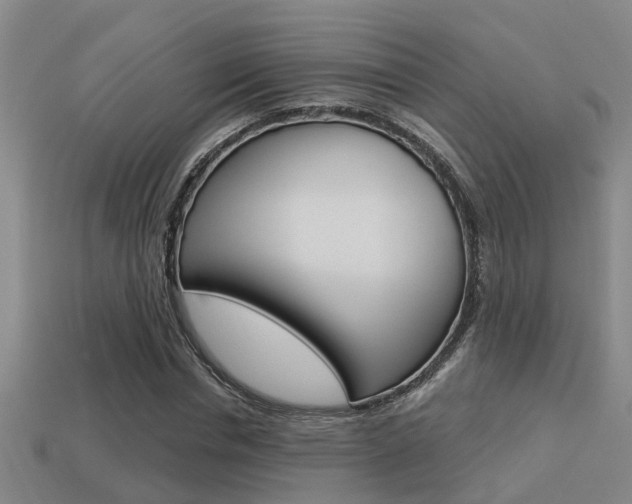 X0000113340826200909151003