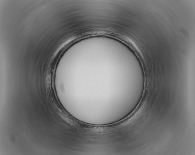 X0000113340827200909151003